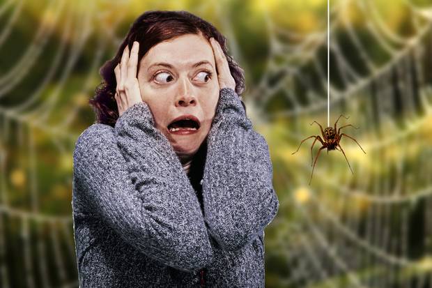 страх перед пауком