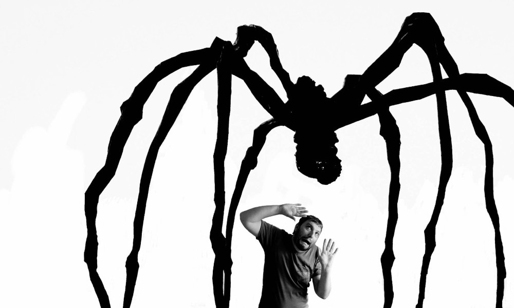 Человек боится паука